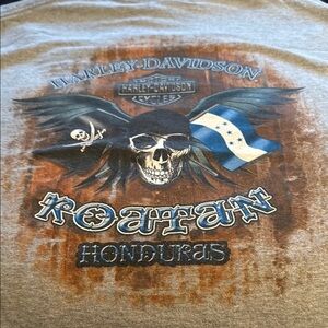 Harley-Davidson Gray and Brown Skull Graphic Tee